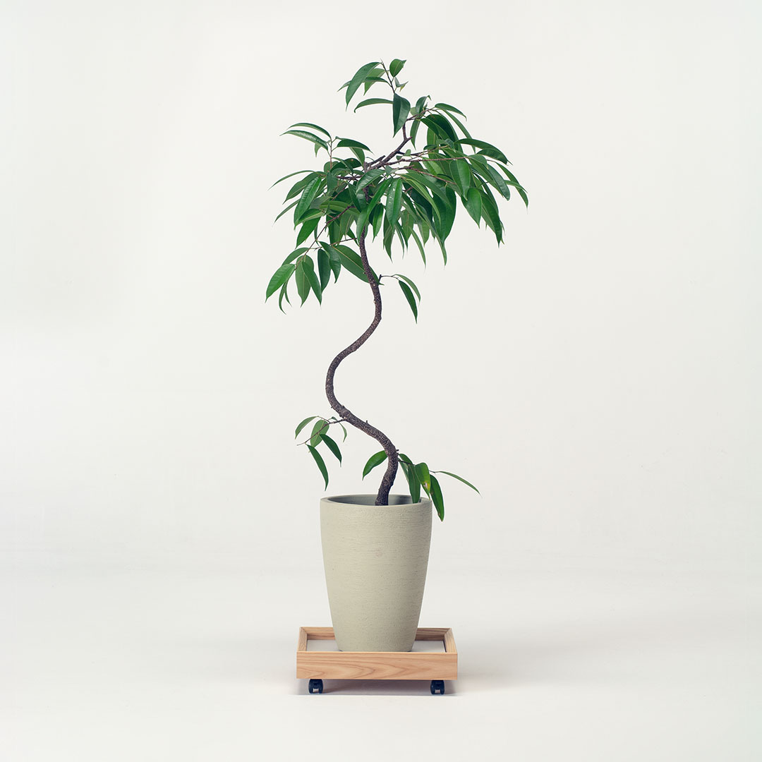 プラントムーバー(スクエア) タモ