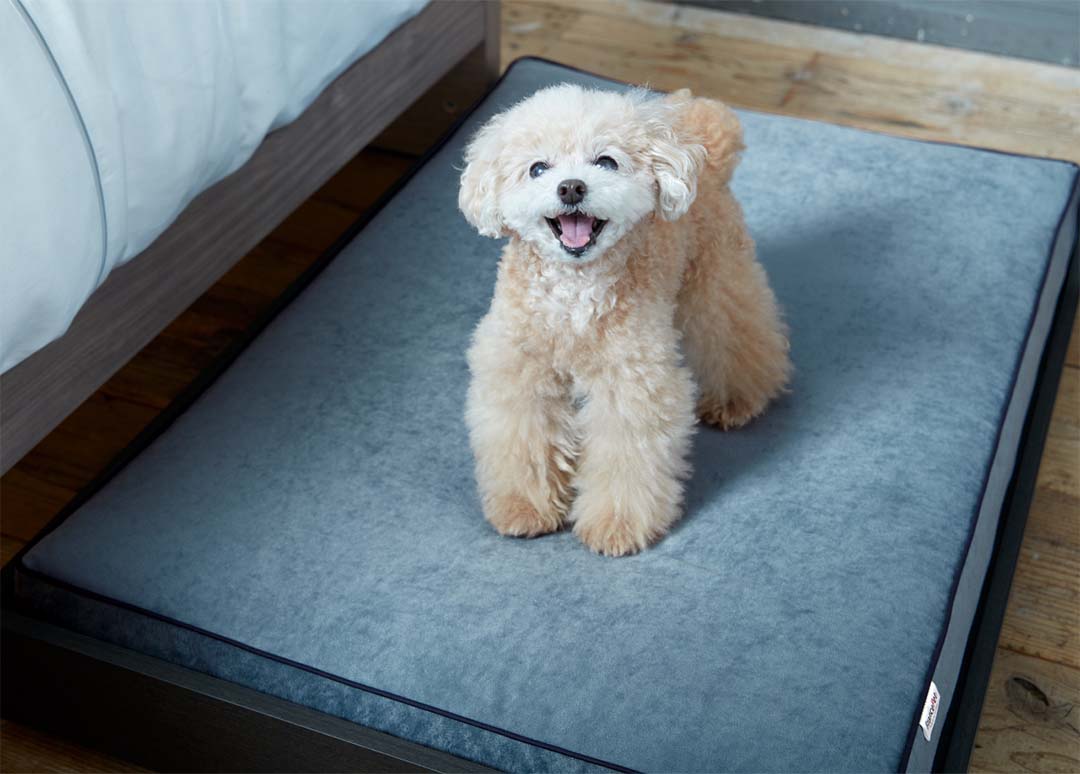 PE-11 ペットマットコージーイン M