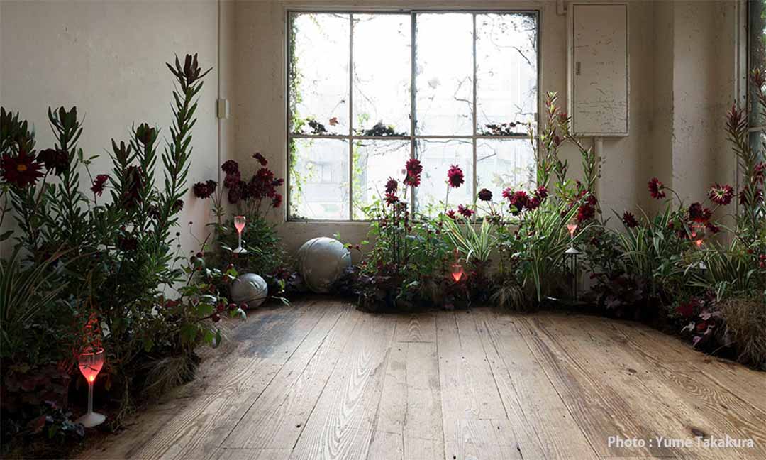 SAMBA-M / サンバ M