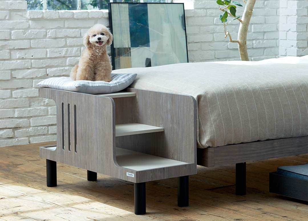 PE-01 ペットステップベンチ