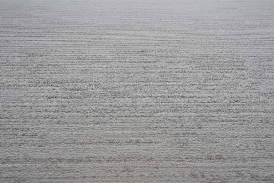 サーブル / Sable 160×230cm 6575