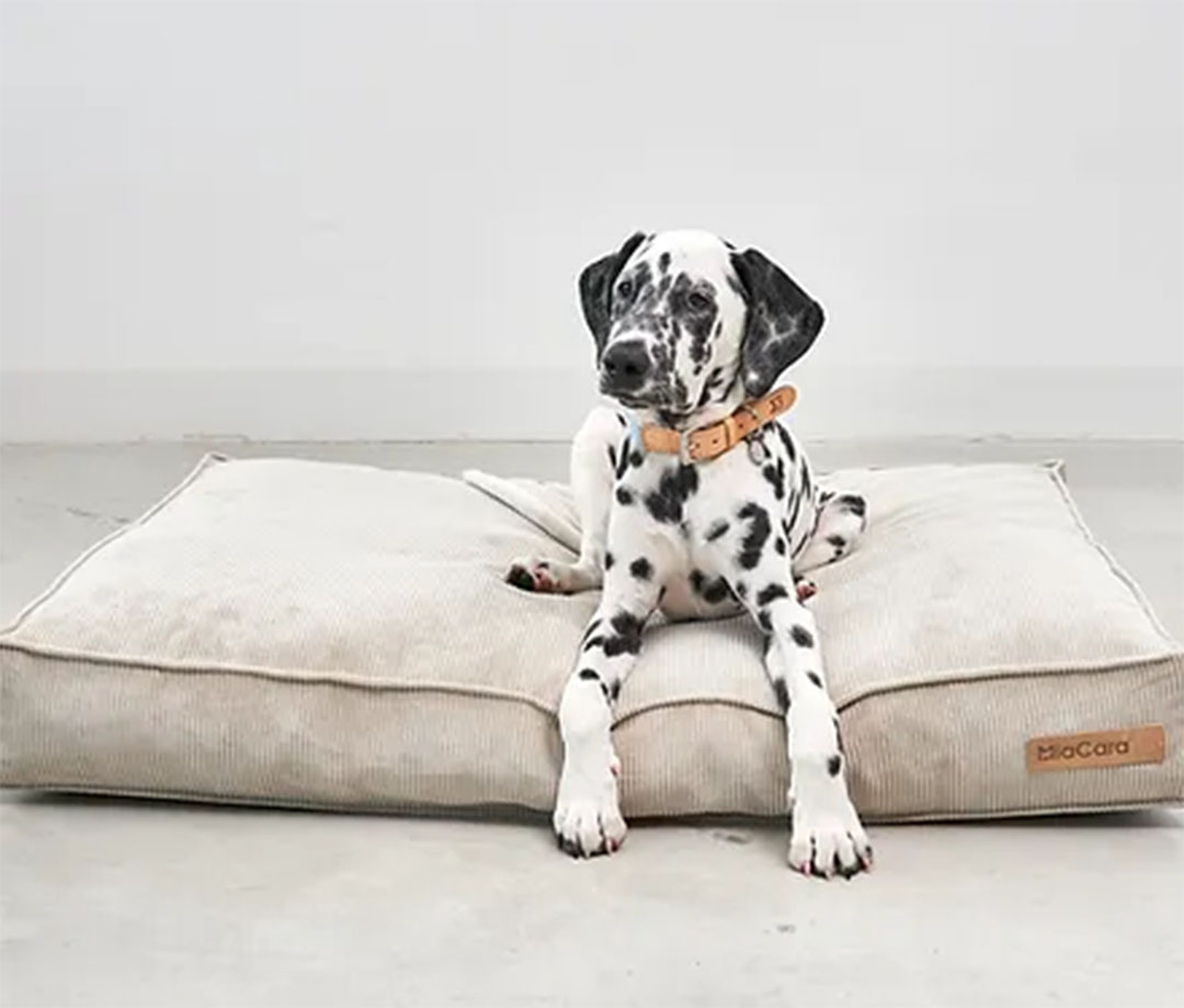 Cordo Cushion S Greige