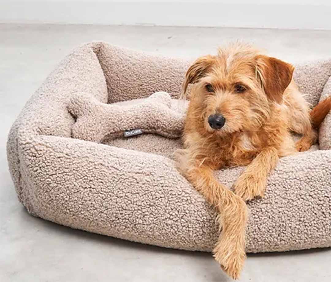 Senso Box Bed S Greige