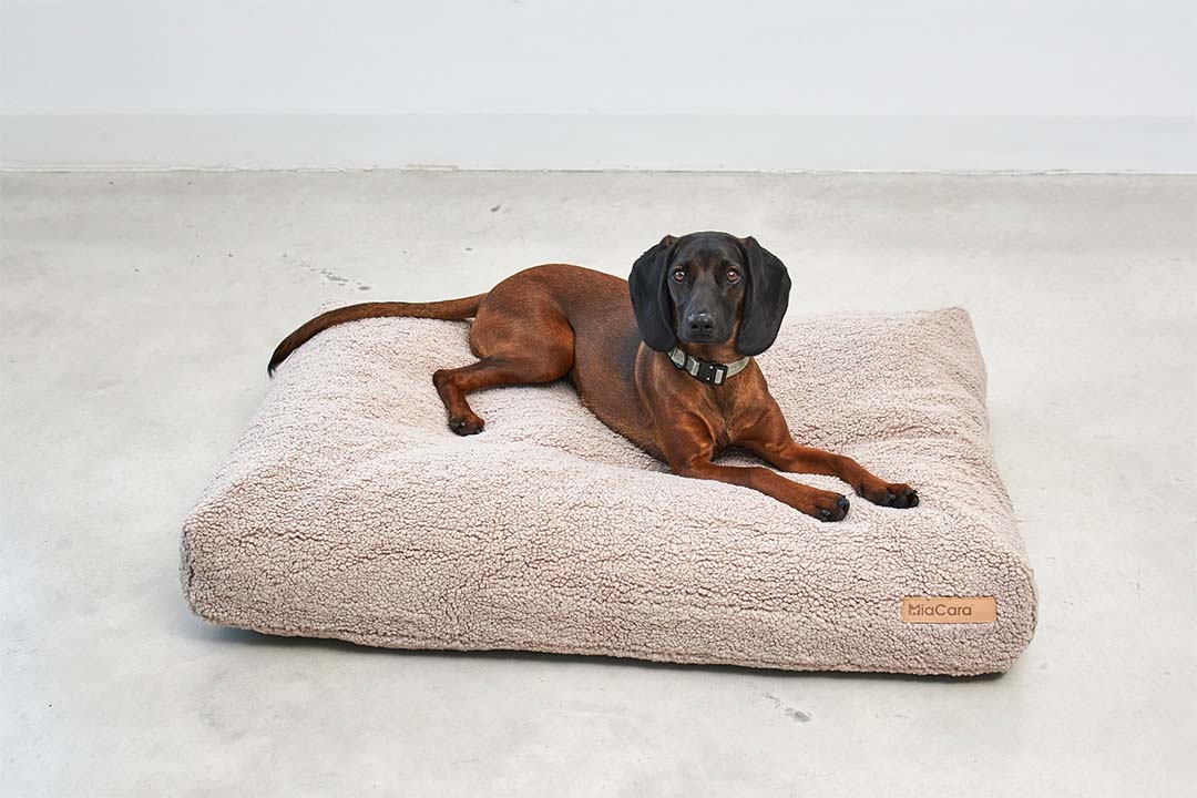 Senso Dog Cushion S Greige