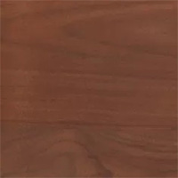 木部:ウォールナット