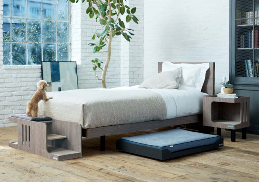 PE-01 ペットステップベンチ