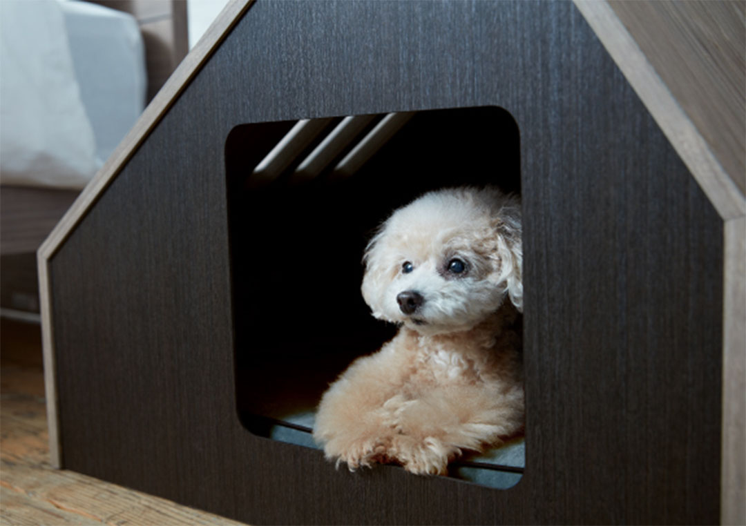 PE-07 ペットハウスソフィタイン M