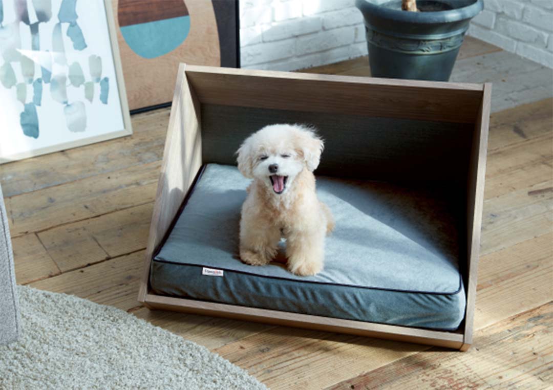 PE-08 ペットハウスステージイン