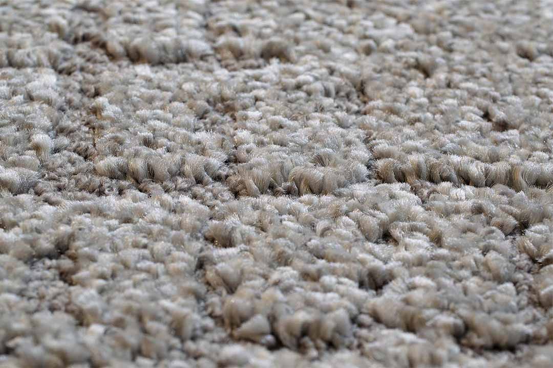 リール / Lille 160×230cm 2121