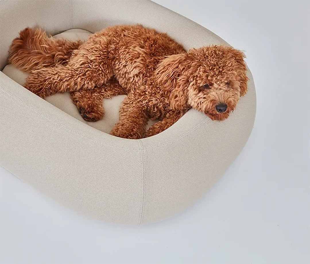 Barca Dog Bed SM Slate gray