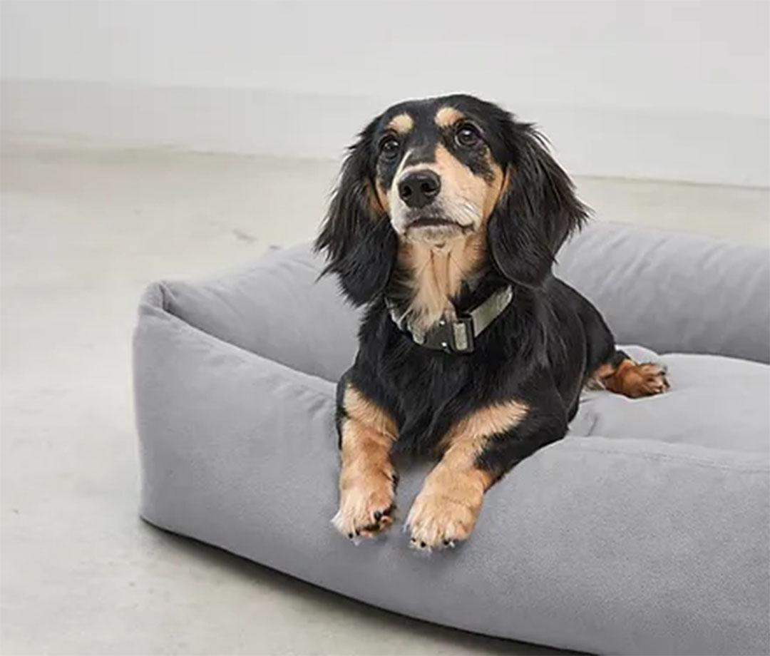 Comodo Box Bed S Slate gray