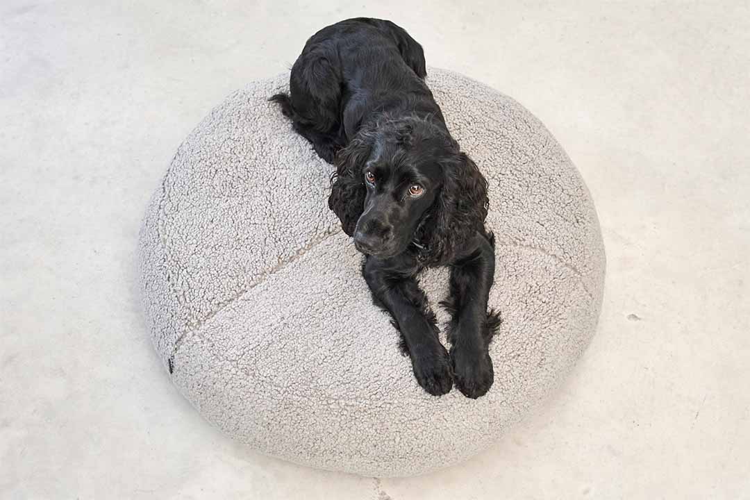 Senso Dog Pouffe SM Pebble