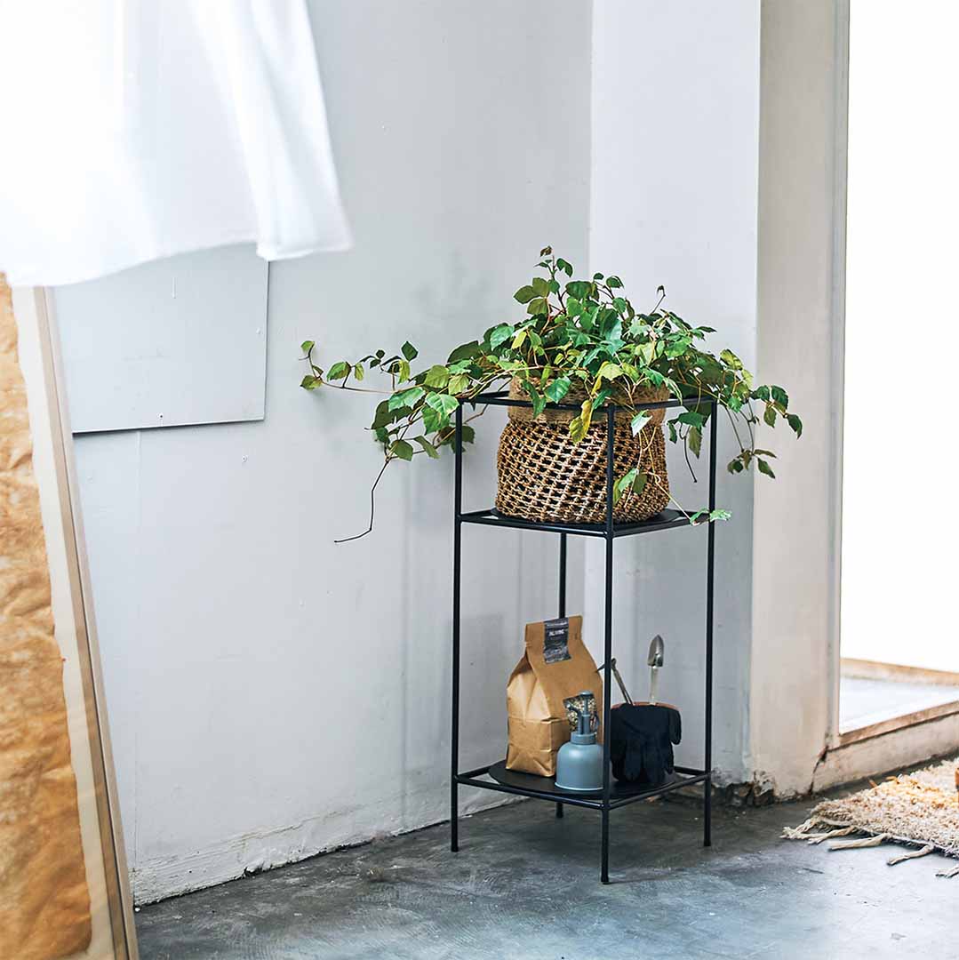 Antenna Plants Rack Ssize ブラック