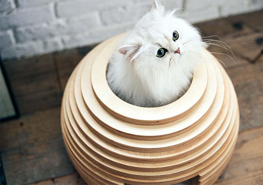 PE-05 ねこハウス まり