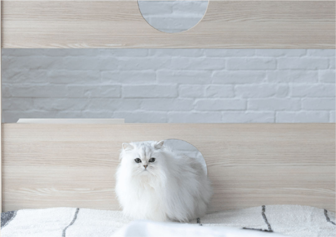 PE-10 キャットタワー ベッド S