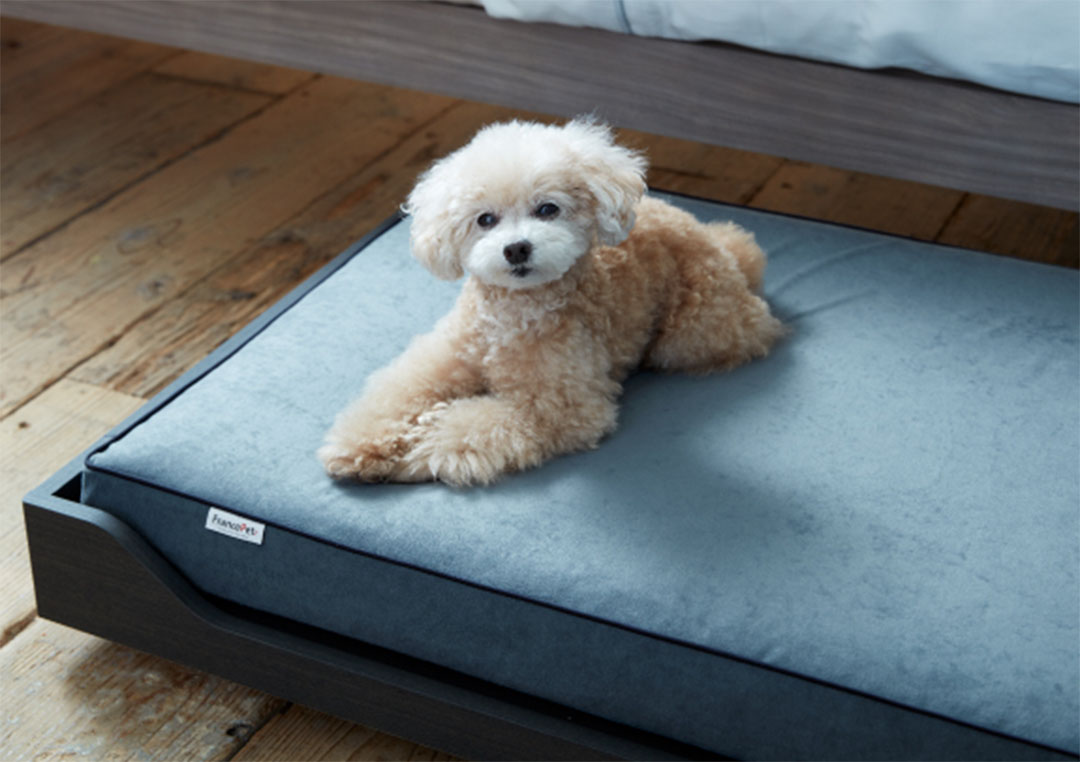 PE-11 ペットマットコージーイン M