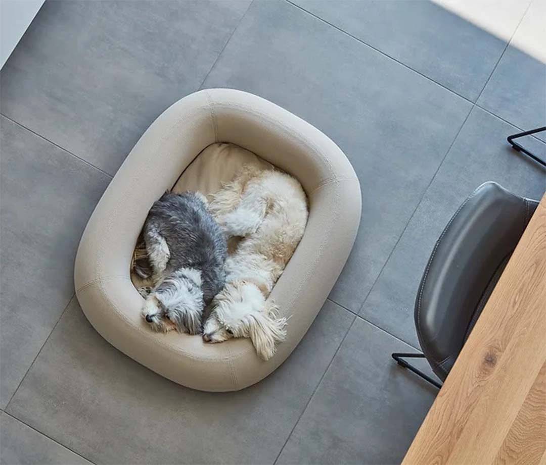 Barca Dog Bed SM Slate gray