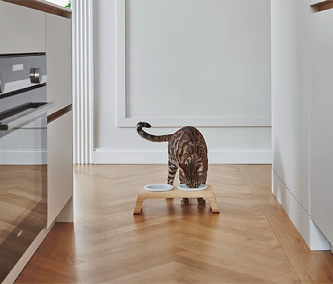 Desco Cat Feeder S Grey