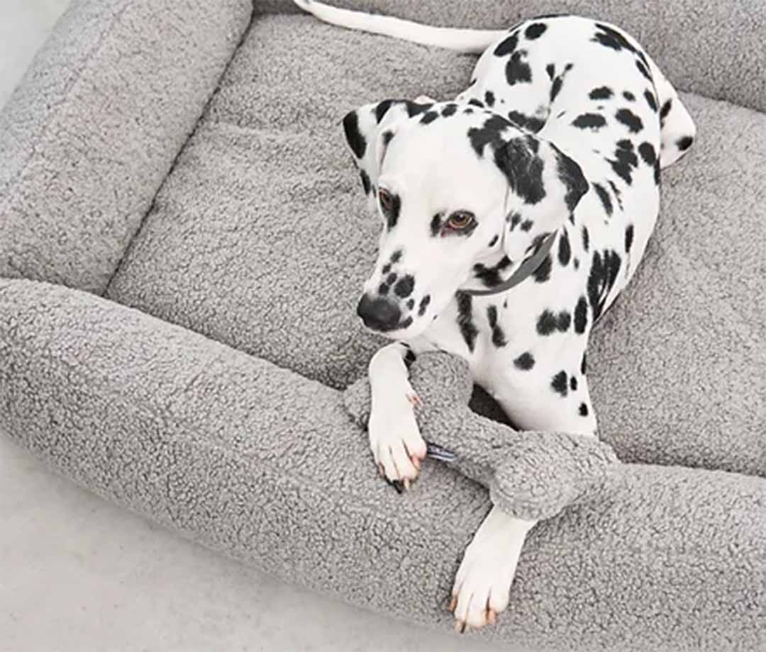 Senso Box Bed S Greige