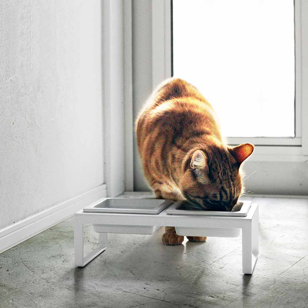 ペットフードボウルスタンドセット タワー トール ホワイト