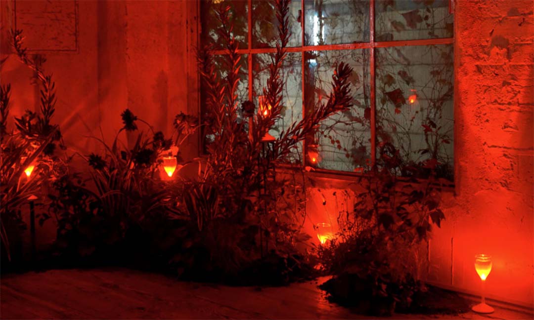 SAMBA-M / サンバ M