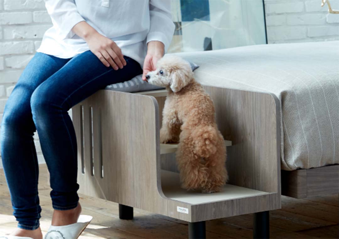 PE-01 ペットステップベンチ