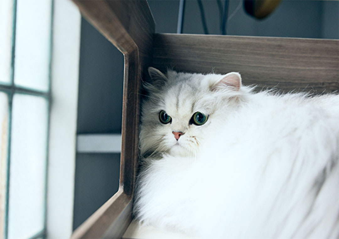 PE-04 キャットタワーパーテーション