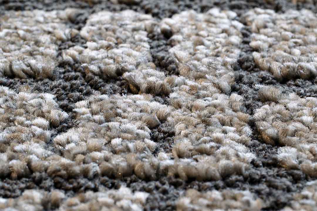 リール / Lille 160×230cm 2121