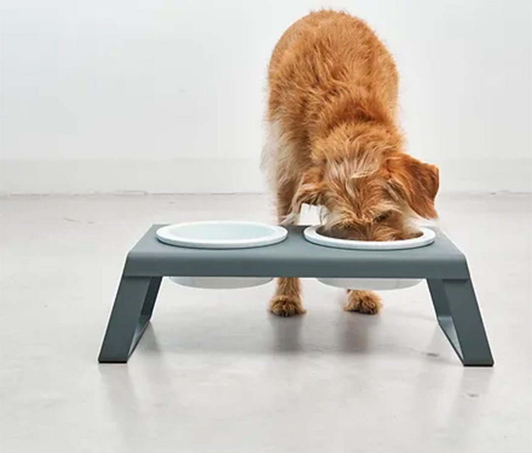 Desco Dog Feeder S White