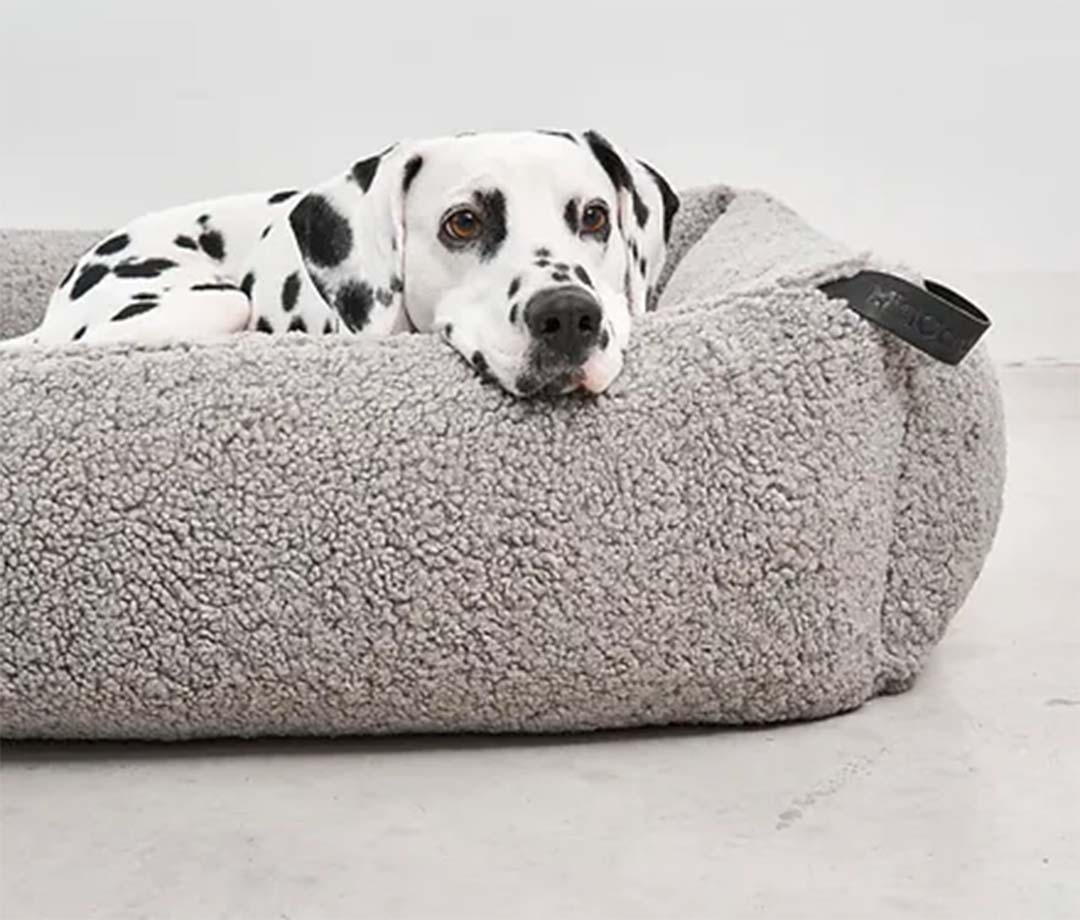 Senso Box Bed S Greige