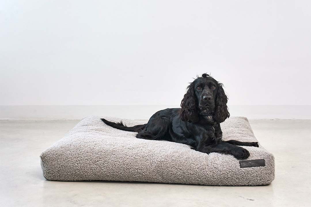 Senso Dog Cushion S Greige
