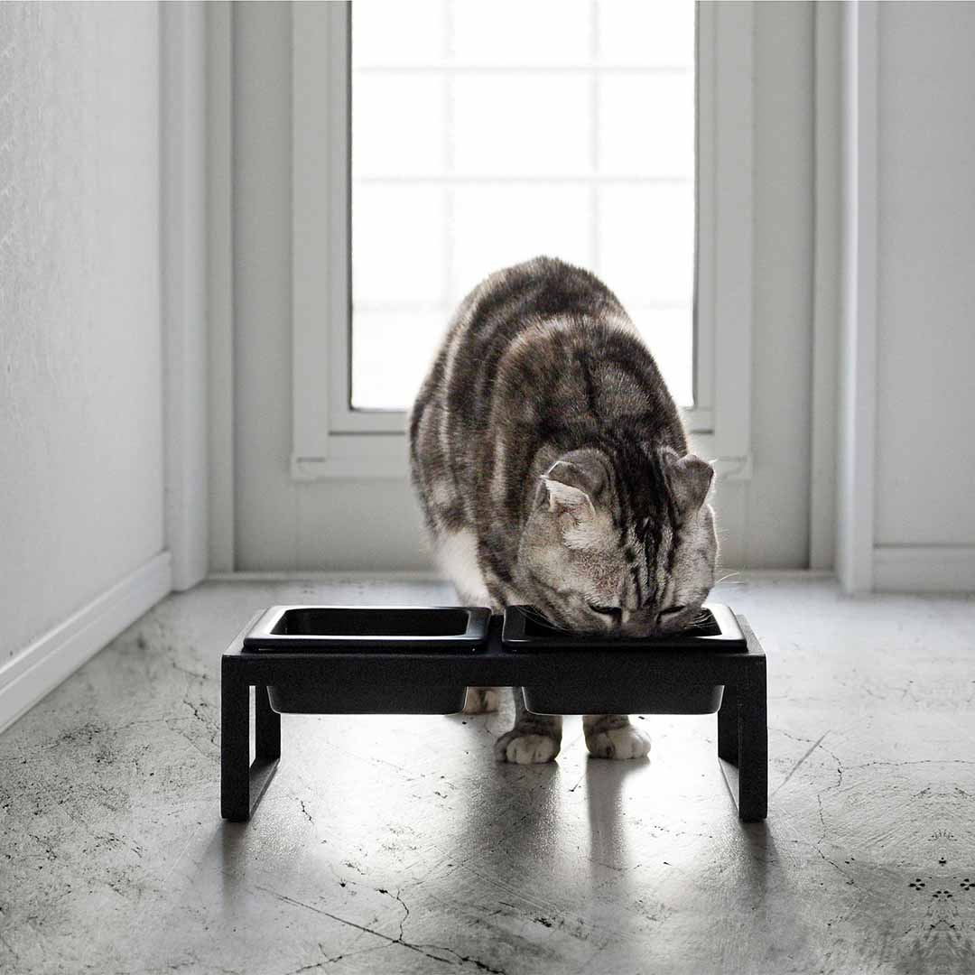 ペットフードボウルスタンドセット タワー トール ホワイト