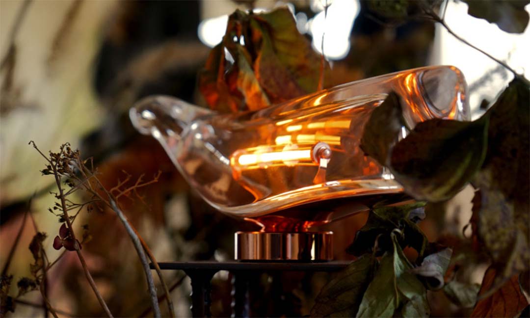 Cachalot / カシャロ クリア