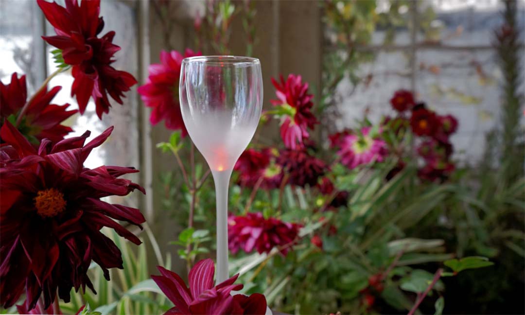 SAMBA-M / サンバ M