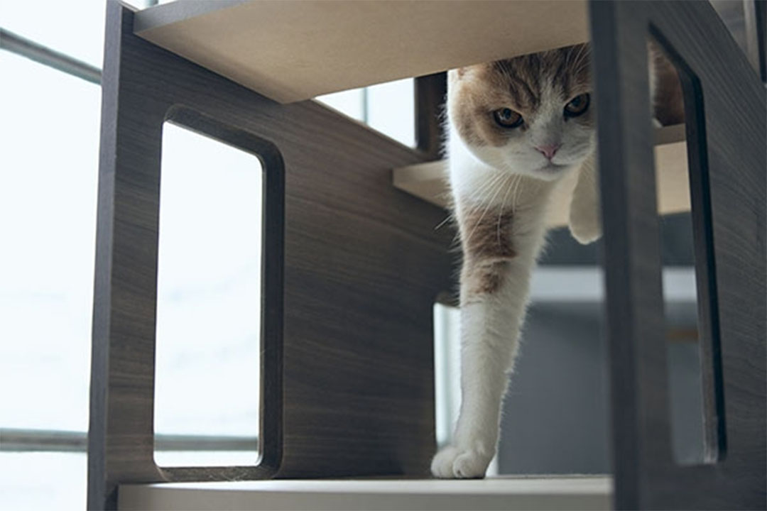 PE-04 キャットタワーパーテーション