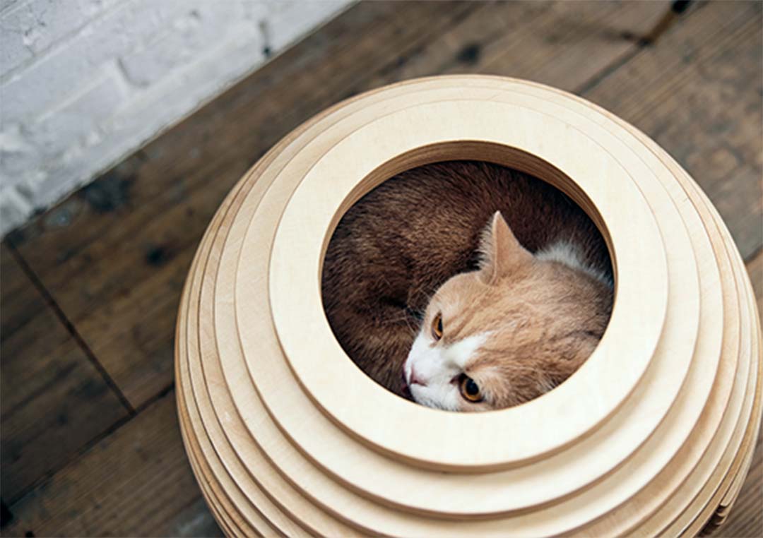 PE-05 ねこハウス まり