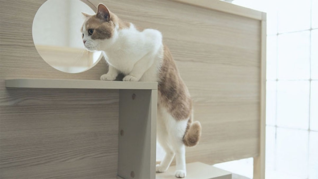 PE-10 キャットタワー ベッド M