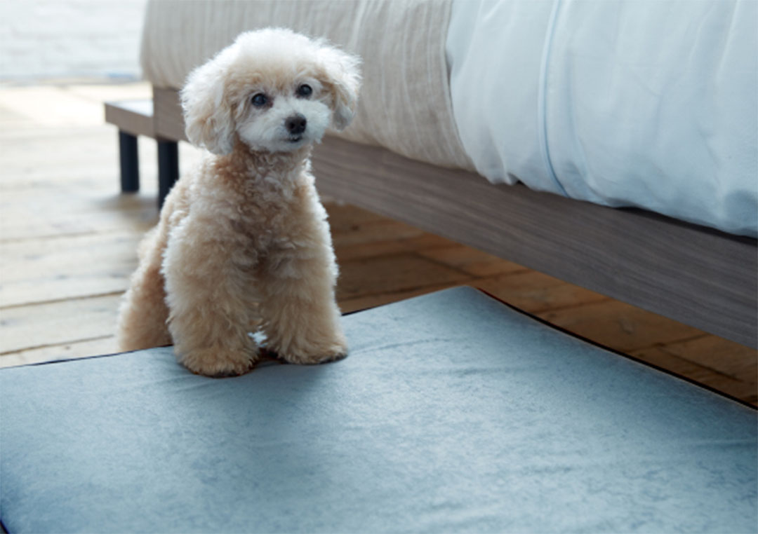 PE-11 ペットマットコージーイン M