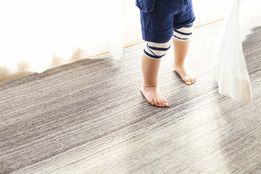 tezawari ER6169(約200×250㎝) レッド