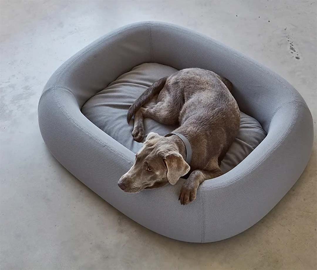 Barca Dog Bed SM Slate gray