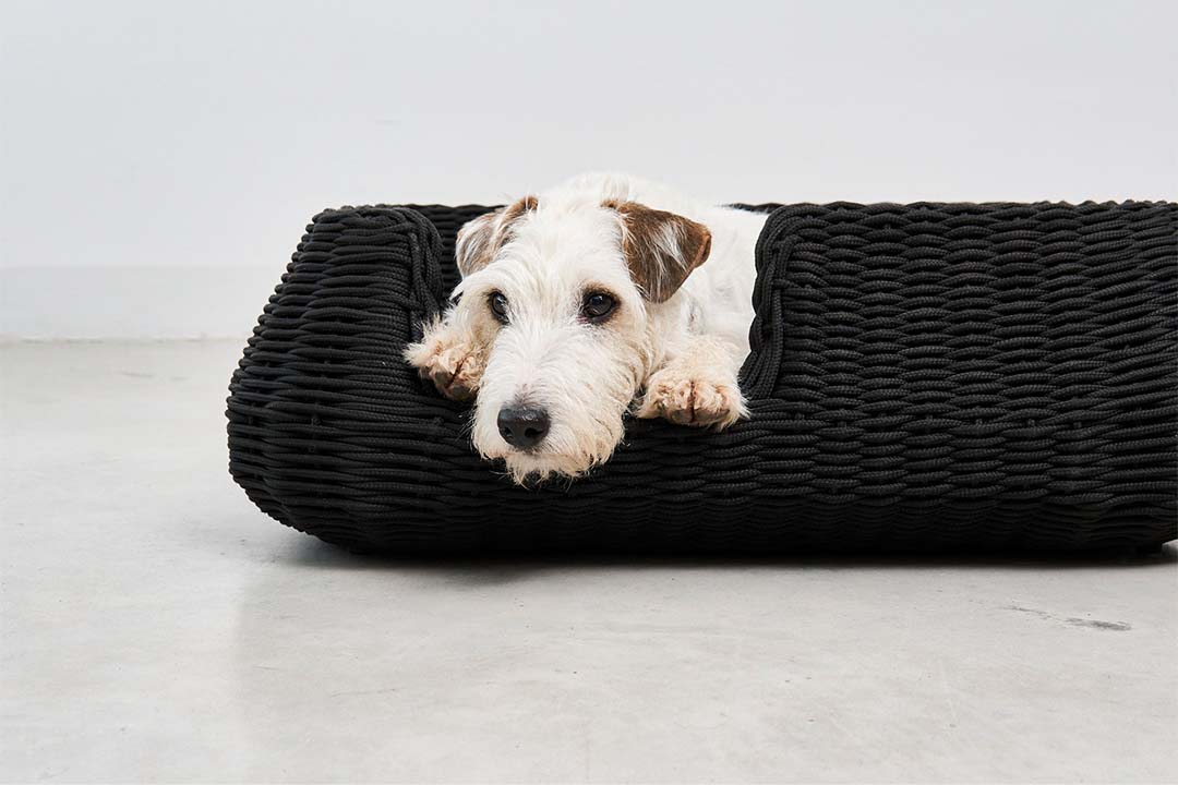 Mio Dog Basket S Greige