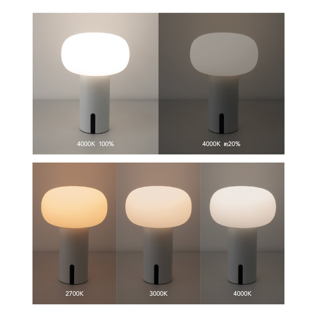 yoi / SAARIS ホワイト