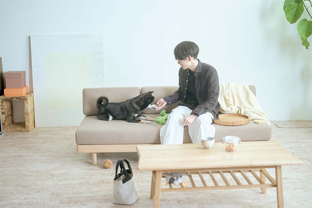 ALLLL morning daybed sofa ペット対応生地 ライトグレー