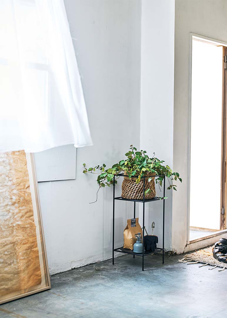 Antenna Plants Rack Ssize ブラック