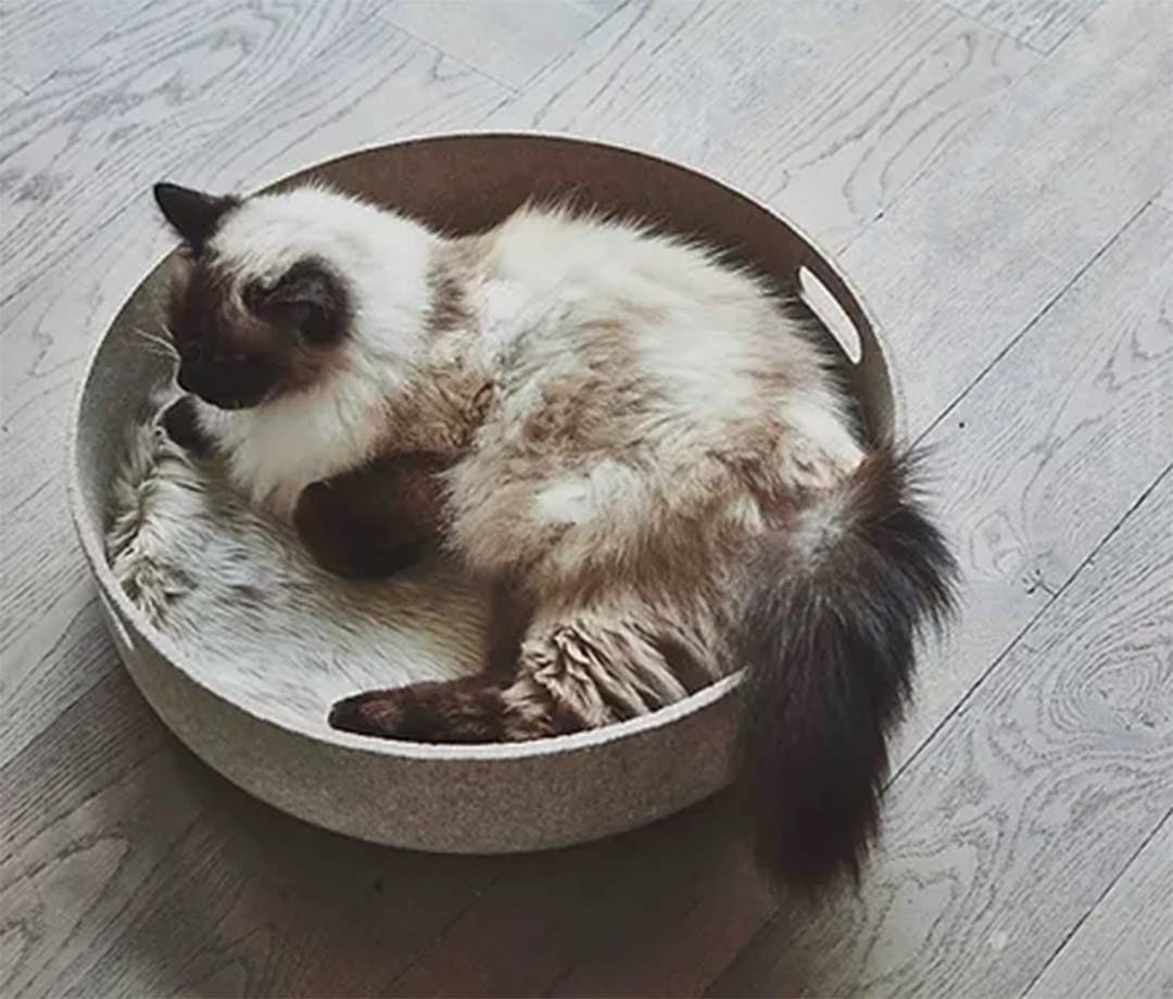 Cesto Cat Basket＆Toy Basket Concrete