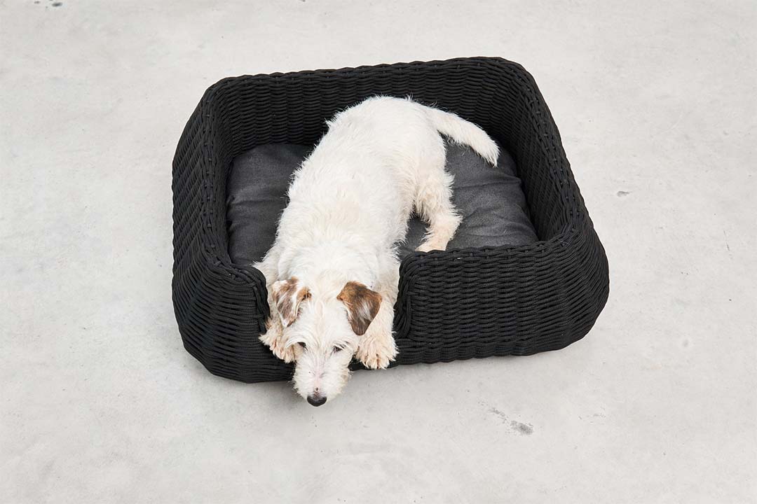 Mio Dog Basket S Greige