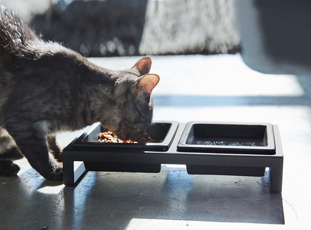 ペットフードボウルスタンドセット タワー ホワイト