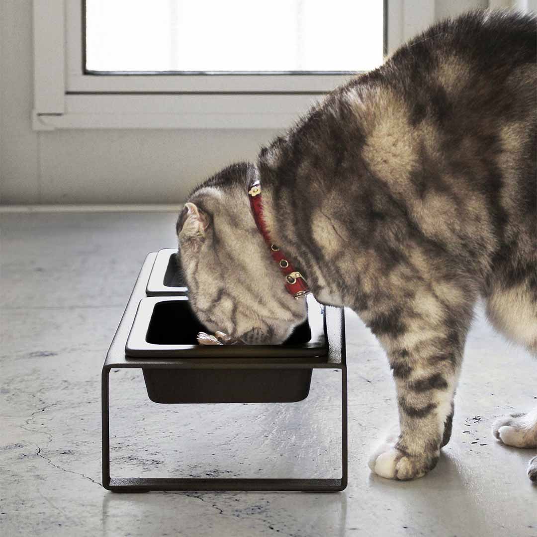 ペットフードボウルスタンドセット タワー トール ホワイト