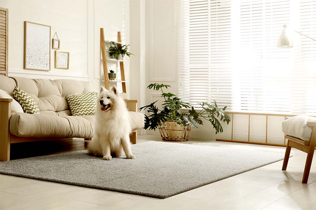 ペットにも安心!ソフトな肌触りが特徴。汚れも落ちやすく消臭機能付き。