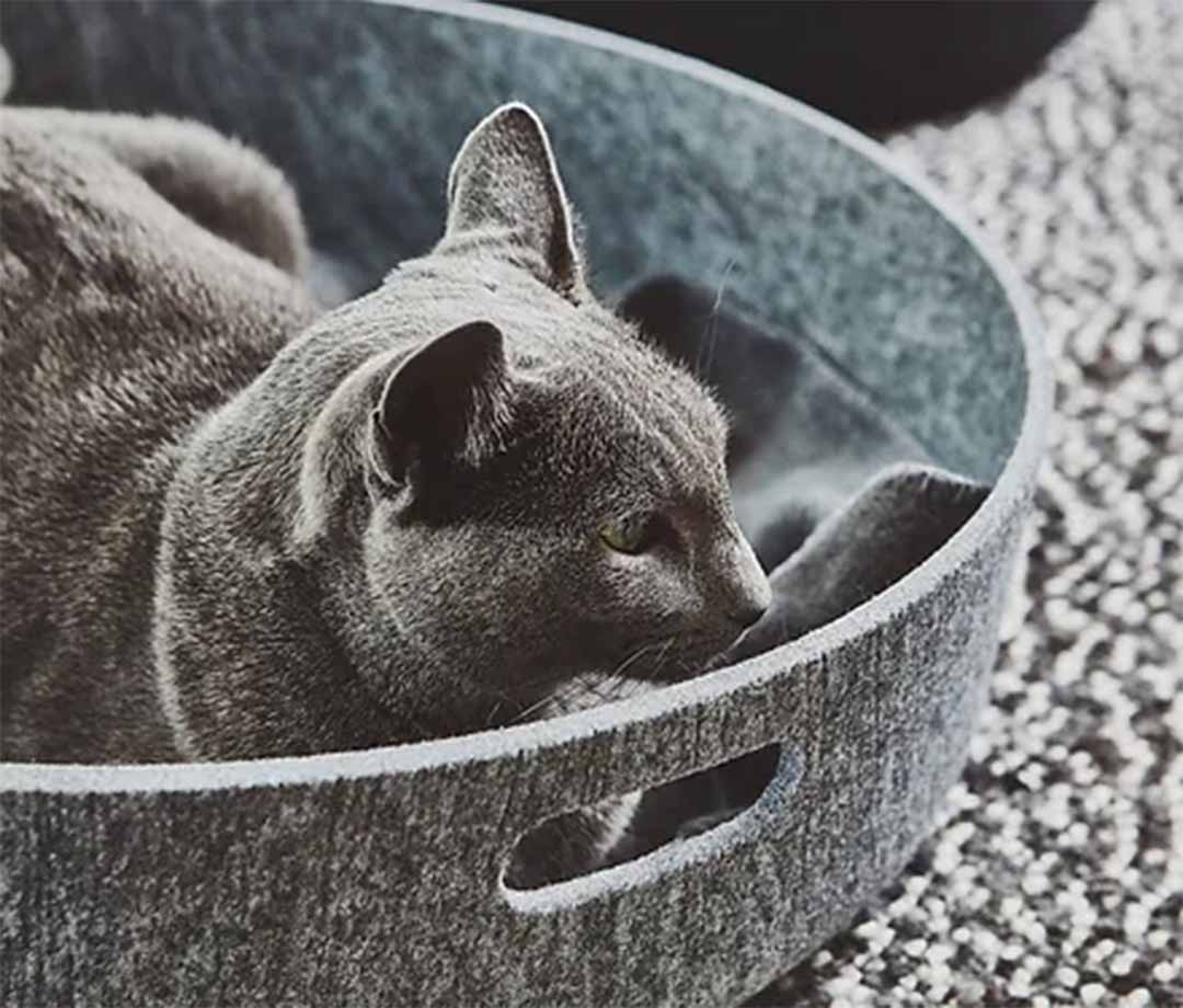 Cesto Cat Basket＆Toy Basket Concrete